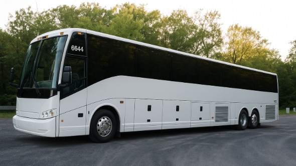richardson bachelor and bachelorette party bus rentals